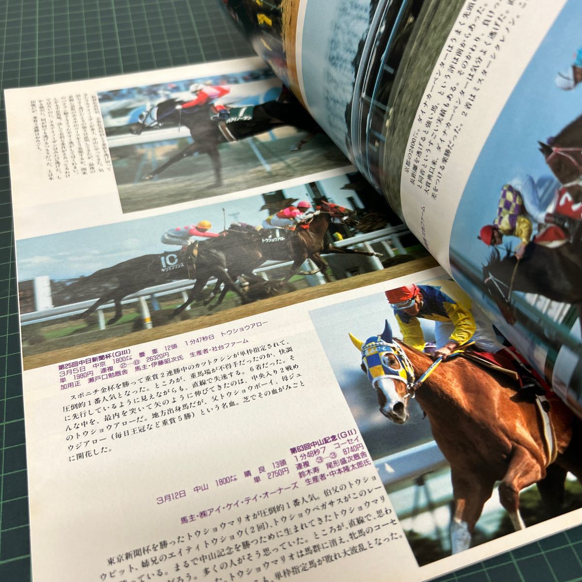 優駿 増刊号 TURF HERO 1989年 日本中央競馬会 オグリキャップ イナリワン_画像7