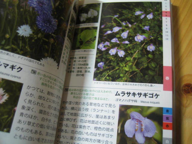  walk . see .... flower *.. illustrated reference book 