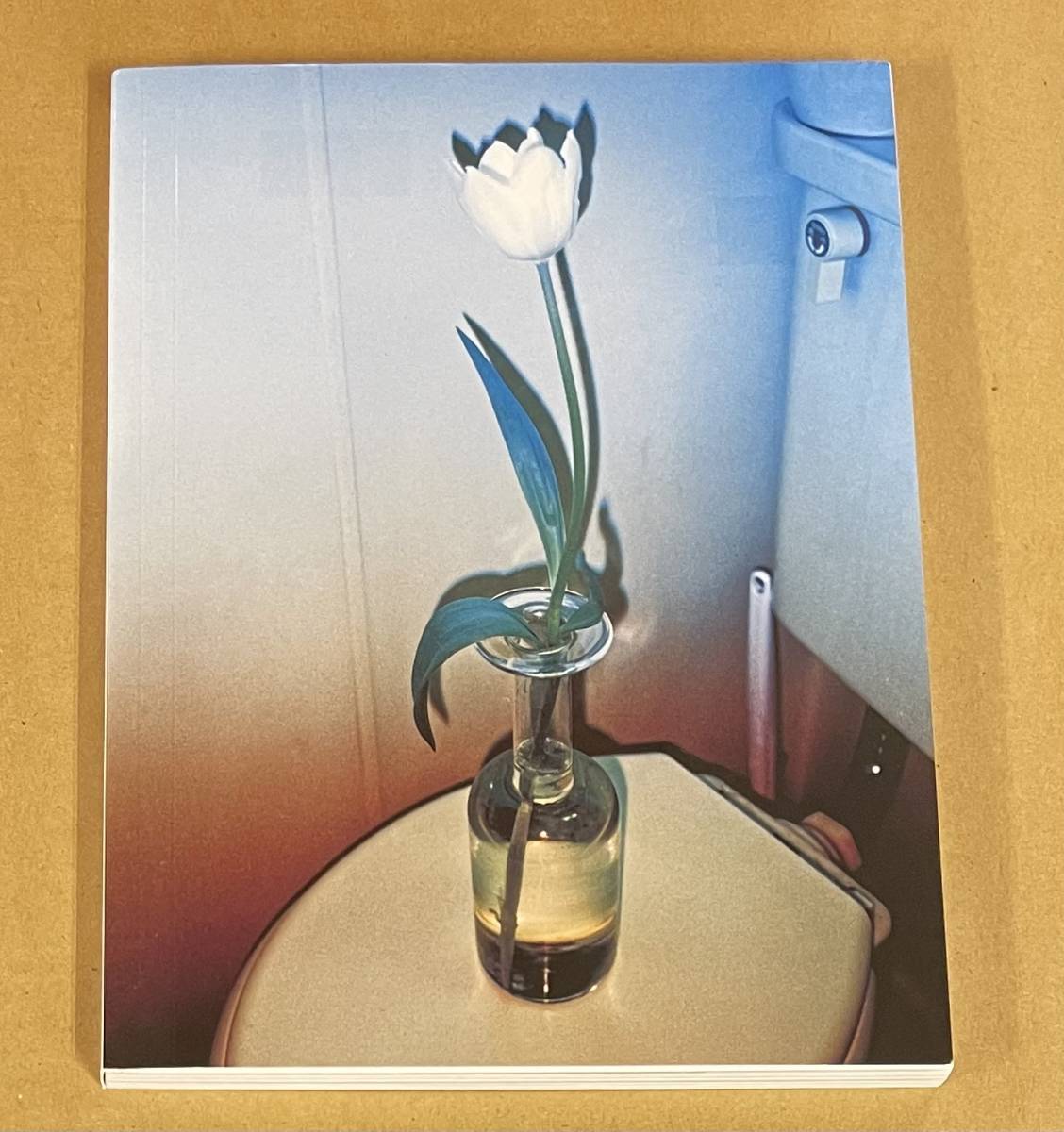 Amazon.co.jp: 14746/デイヴィッドホックニー 写真集 カメラ Amazon.co.jp: 14746/デイヴィッドホックニー 写真集 カメラ