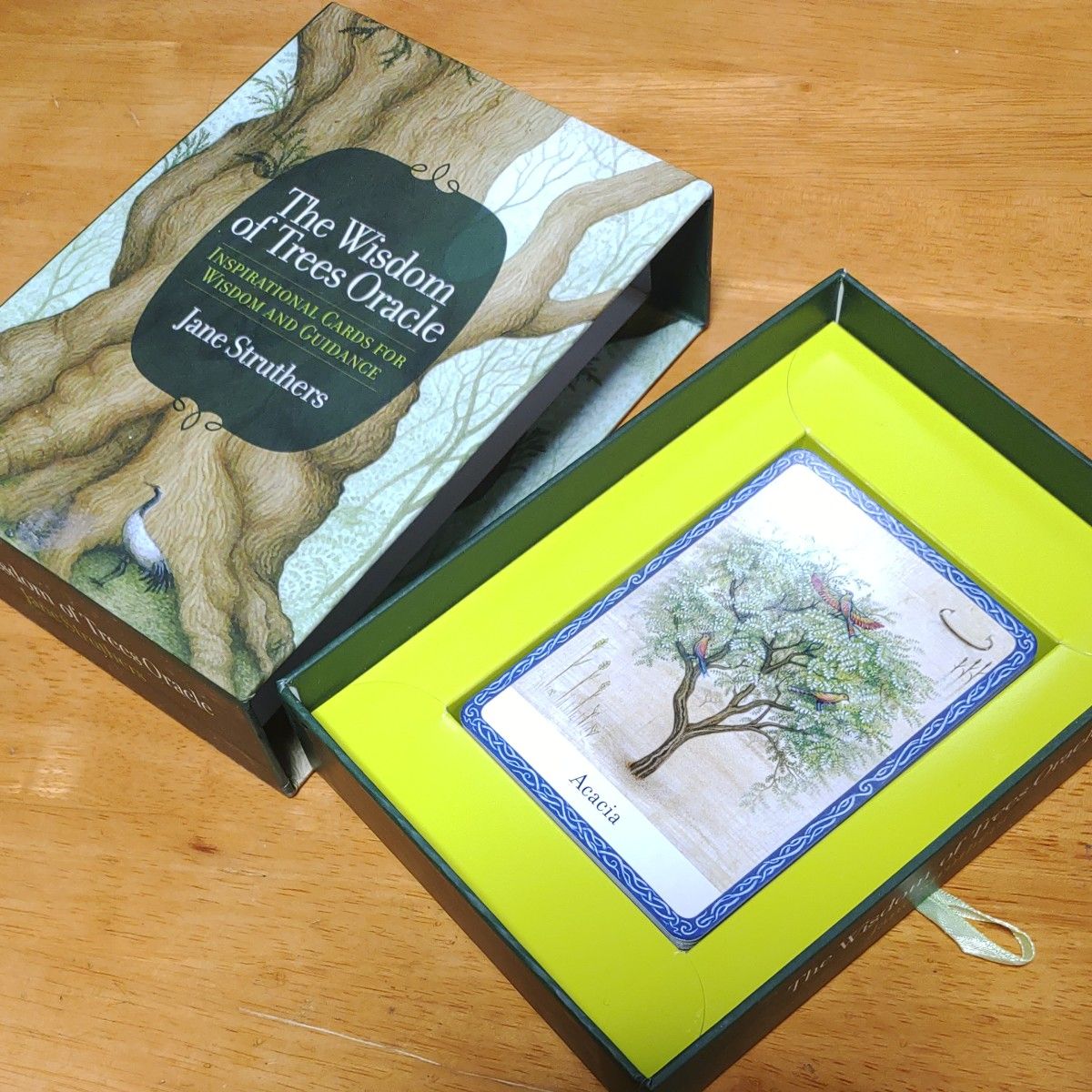 【洋書】The Wisdom of Tree Oracle Jane Struthers 植物のオラクルカード