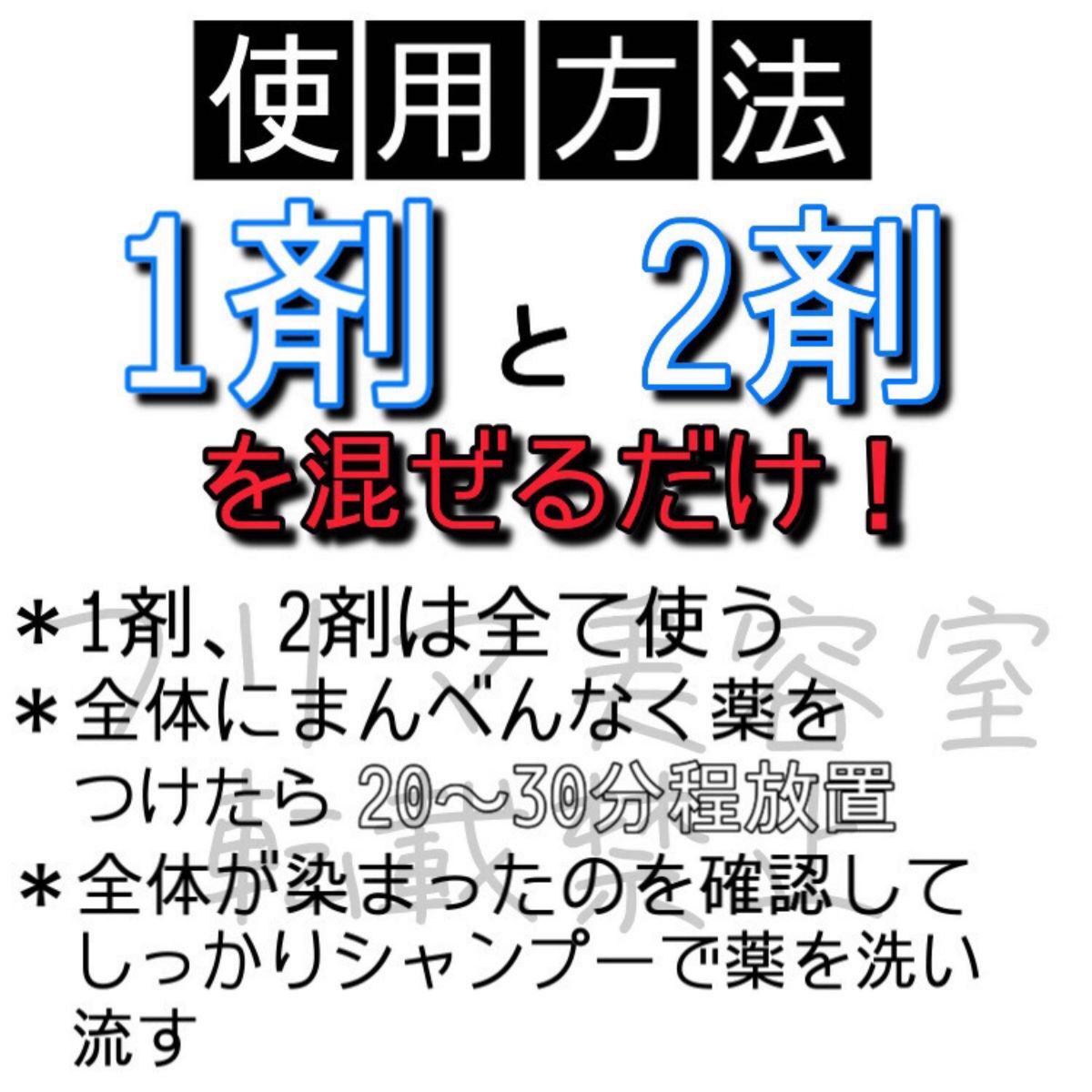 12-GB タマリス　白髪染め　ショート　メンズ　ヘアカラー剤　セット付　10・8・6トーンあり