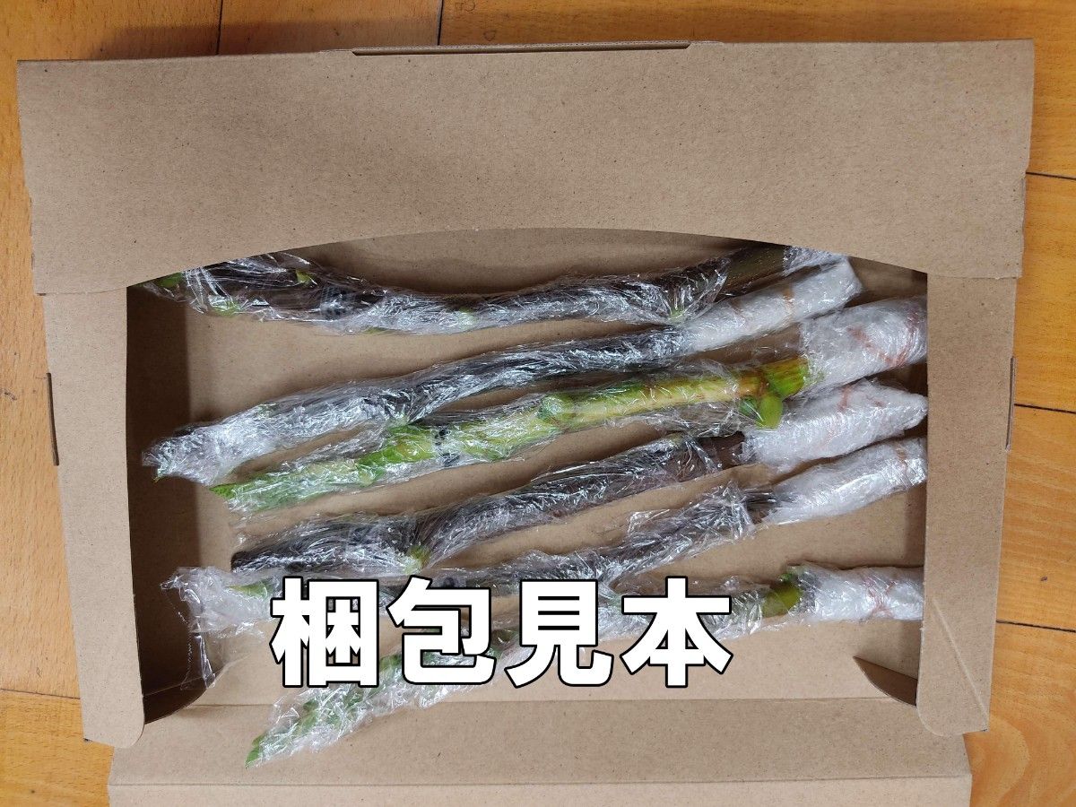 イチジク 挿し木用穂木 剪定枝 リクエスト承ります|Yahoo イチジク 挿し木用穂木 剪定枝 リクエスト承ります|Yahoo
