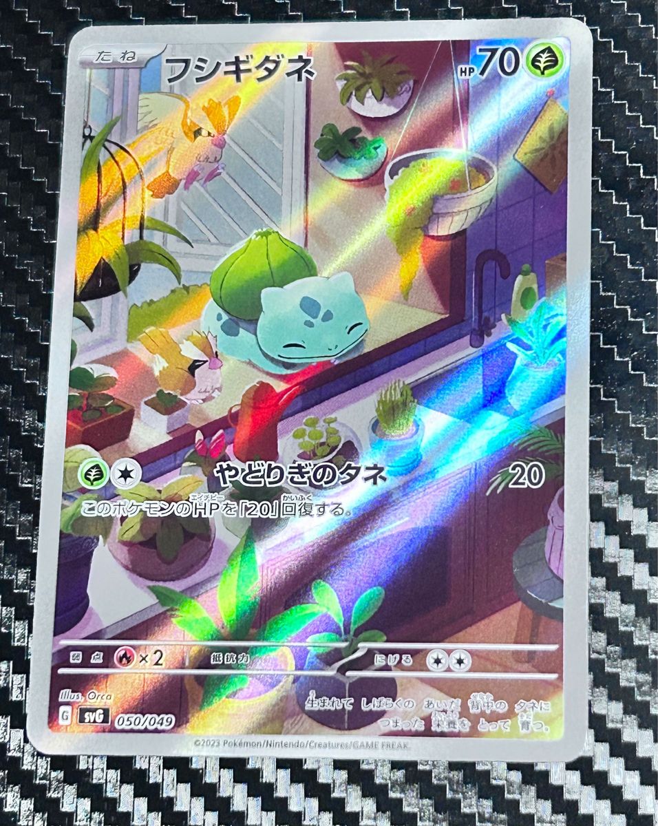 ポケモンカード フルイラスト AR ヒトカゲ ARフシギダネ AR ポケモンカード フルイラスト AR ヒトカゲ ARフシギダネ AR