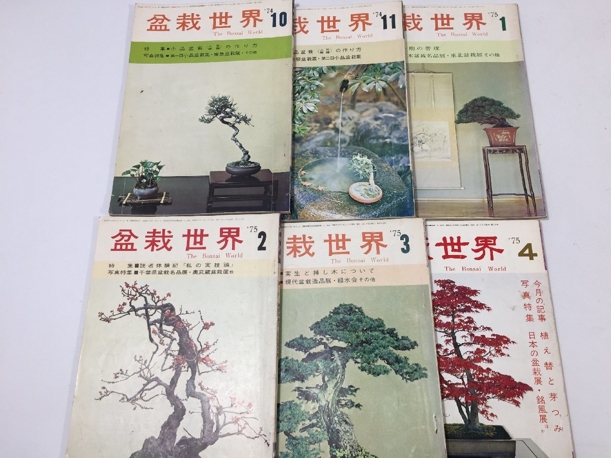 盆栽世界　　樹石社　２１冊まとめて　　詳細な年式は下記にて　　長期保管品　　TH11.091_画像5