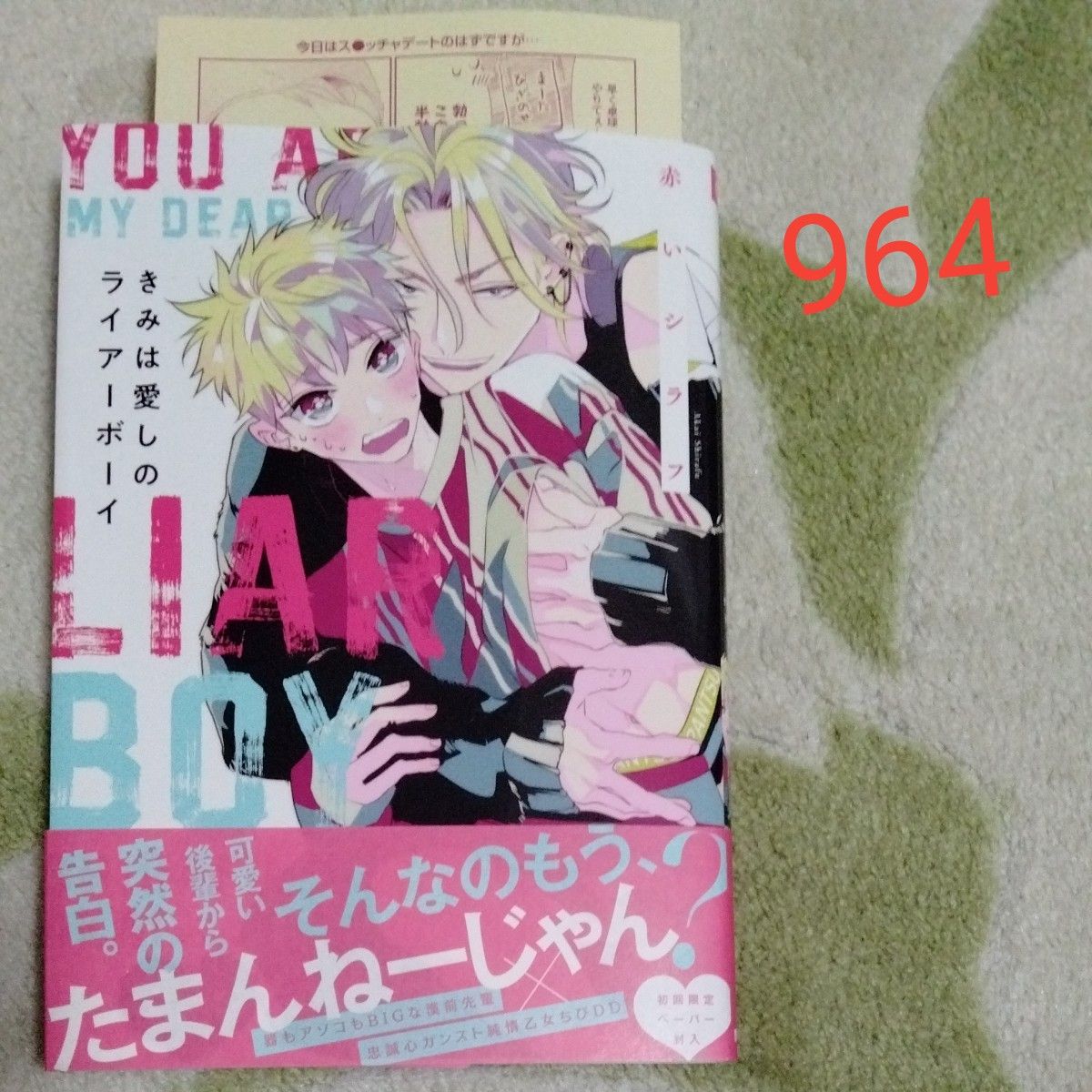 BL漫画2冊売り　ネコジタスパイキー　のばらあいこ　かみは愛しのライアーボーイ　赤いシラフ　