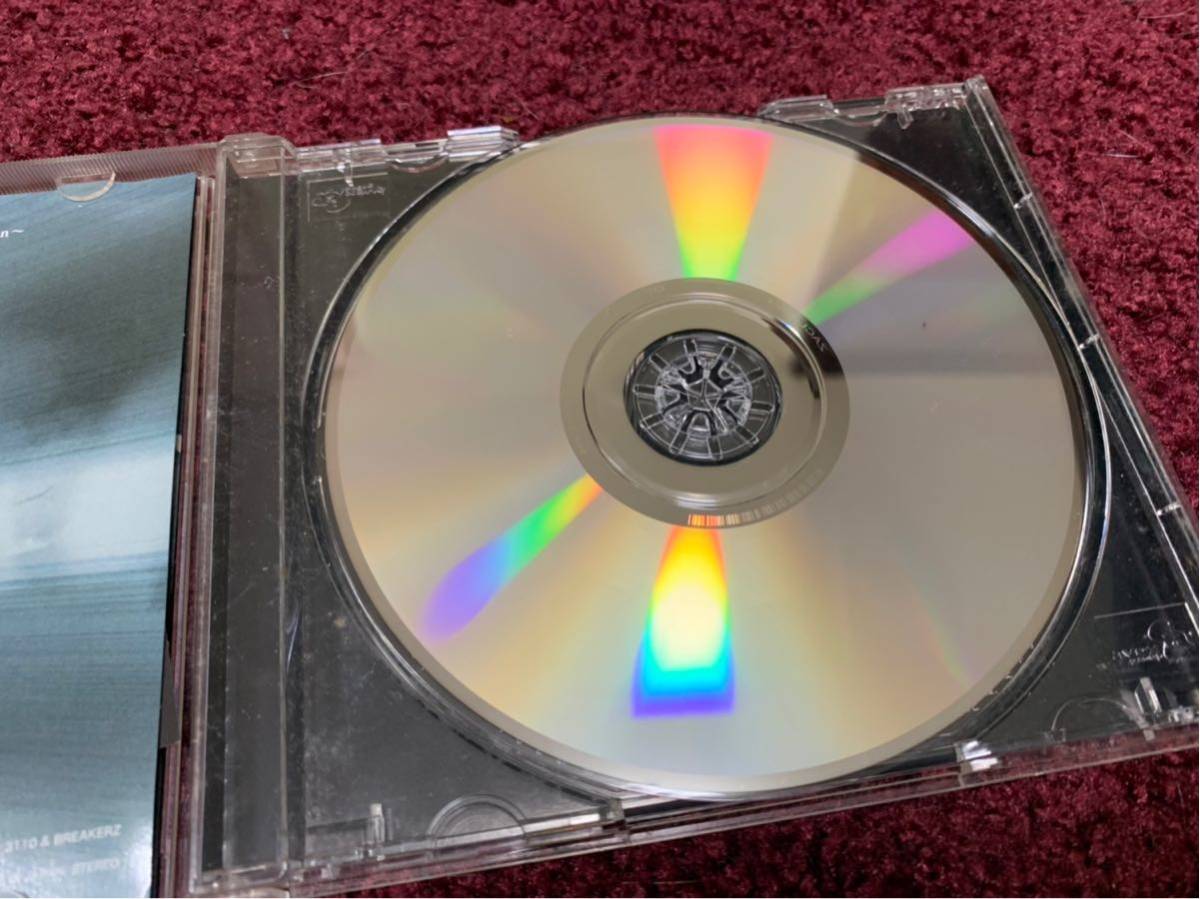 BREAKERZ 激情 シングル Single CD cd_画像4
