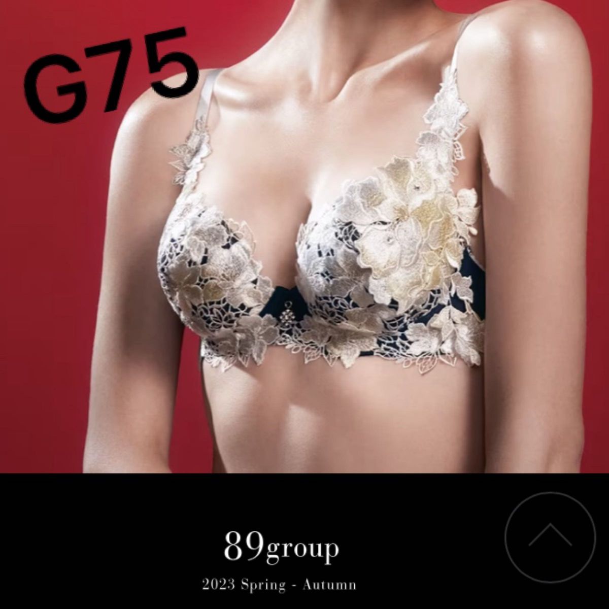 サルート 89g 平安絵巻 店舗限定 新品 G75 上下セット