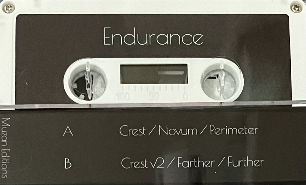 [ Cassette / кассета ] Endurance / Further ( Ambient ) Muzan Editions ограничение 100шт.@ эмбиент 