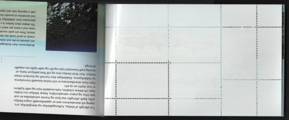 3 アイスランド【未使用】＜「2002 魚・シンクヴェトリル湖のマス」　切手帳（５種連刷・ペーン）＞_画像2