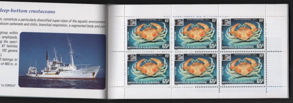 23 ニューカレドニア【未使用】＜「1996 国際切手展《China '96》/ 深海の生物」　切手帳（6枚ペーン・4種）＞_画像3