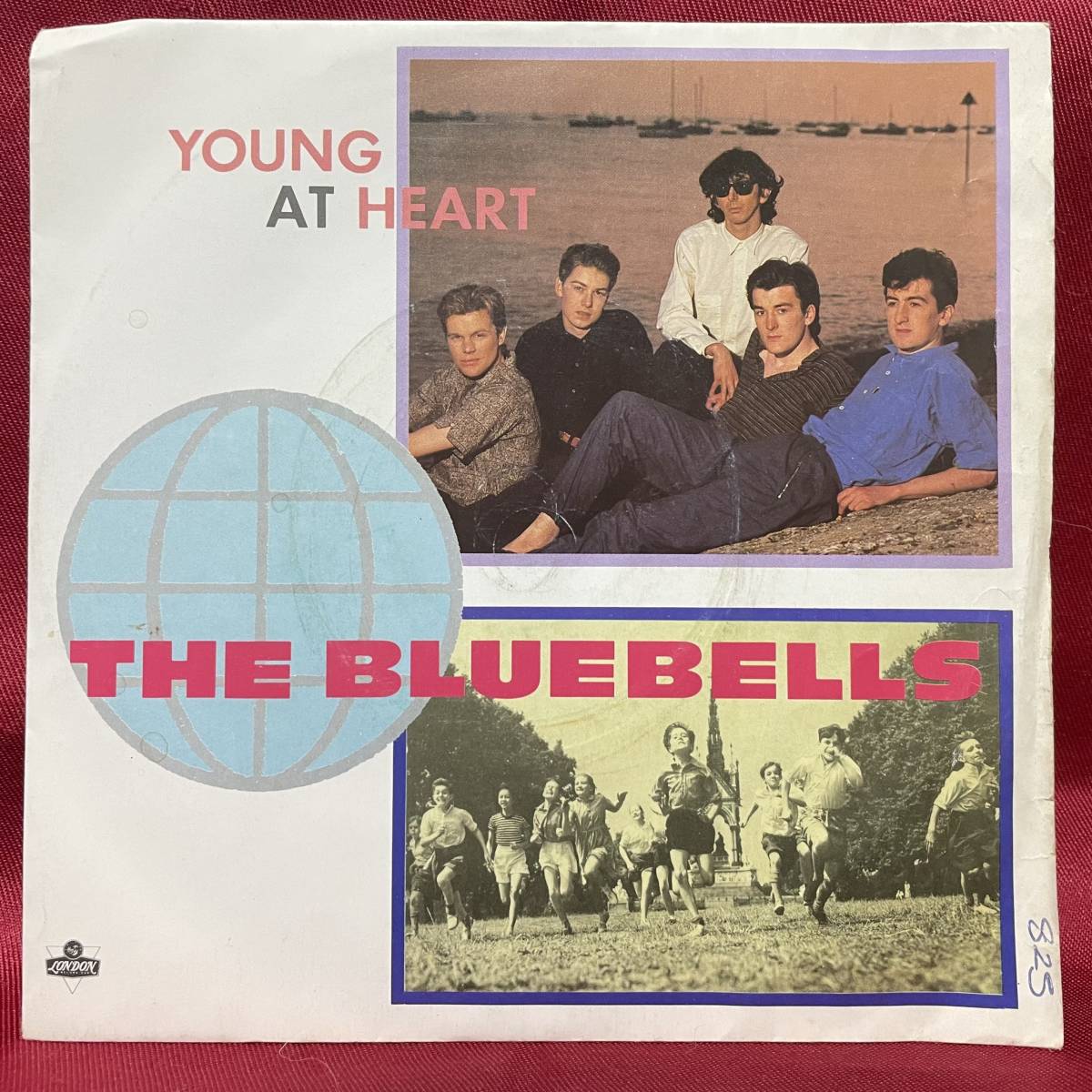 ◆UKorg7”s!◆THE BLUEBELLS◆YOUNG AT HEART◆_画像2