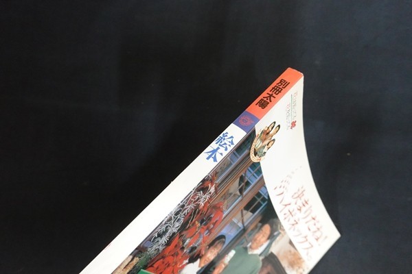 rl17/ отдельный выпуск солнце книга с картинками # Heibonsha 1984 год 