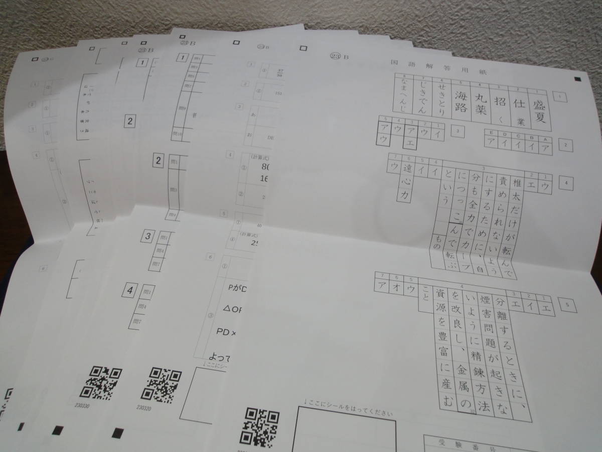 共立女子中学校 2023年 過去問 入試問題_画像6