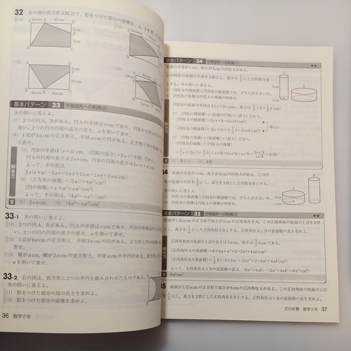 zaa-523♪未使用 レベル別・パターン別実力完成アルファ 中学2年　数学＋英語 計2冊　各解答解説付 塾専用教材