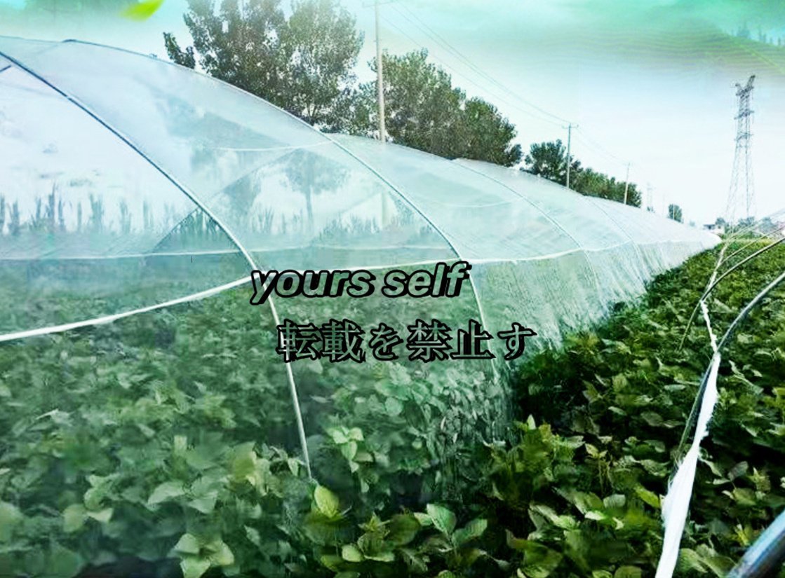  super popular * moth repellent agriculture for kitchen garden gardening insecticide net insect repellent net insect repellent net moth repellent net moth repellent seat mesh sheet width 1m× length 100m tunnel cultivation 