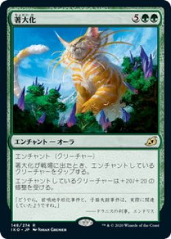 MTG　著大化　在庫日2枚まで　イコリア：巨獣の棲処　IKO　★他多数出品中_画像1