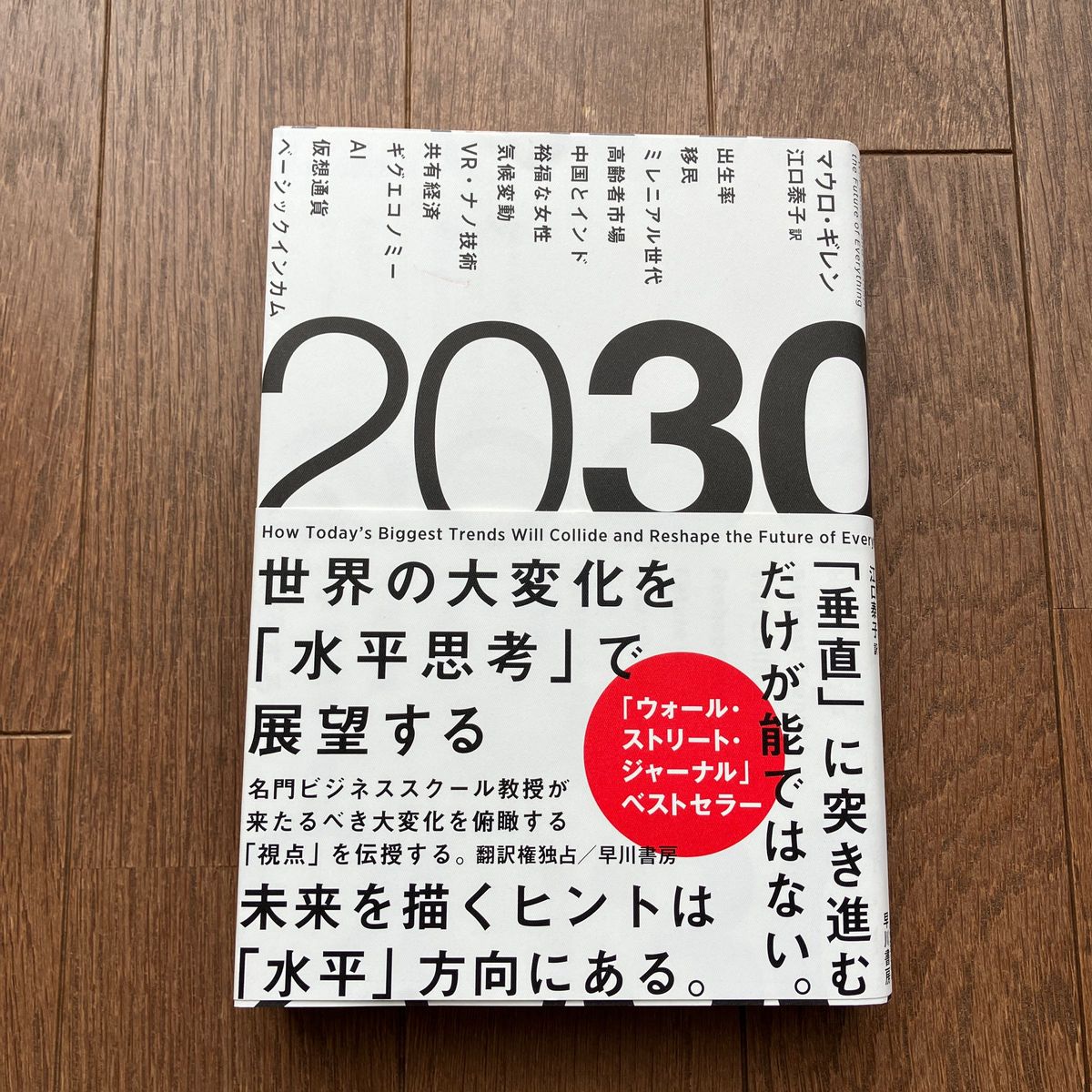 ２０３０ 世界の大変化をで展望する／マウロ・ギレン(著者),江口泰子(訳者)