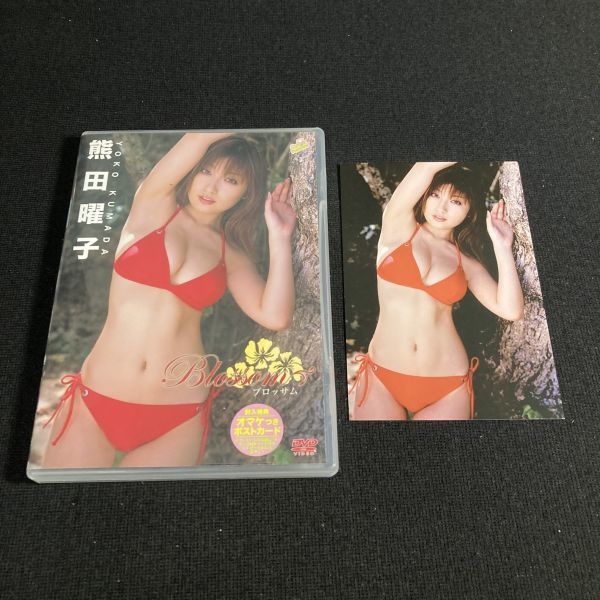 【ポストカード付】アイドルDVD 熊田曜子 / Brossom ブロッサム グラビア セル版 管理g2_画像1