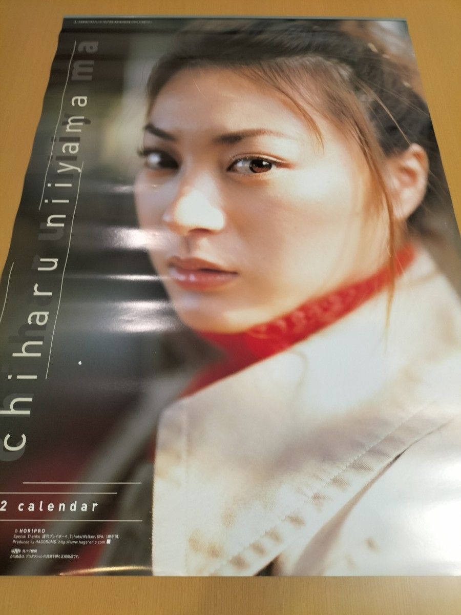 新山千春さん　2002年ビッグカレンダー