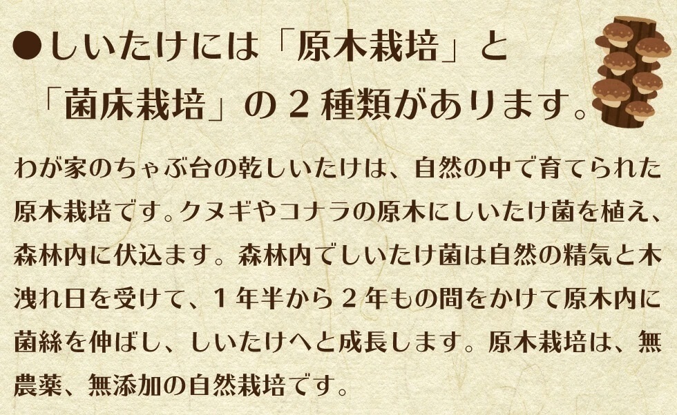 九州産　われ葉 乾しいたけ　40g×2袋セット 　 国産 無添加 無農薬 干ししいたけ 椎茸 しいたけ シイタケ 訳あり お徳用_画像5