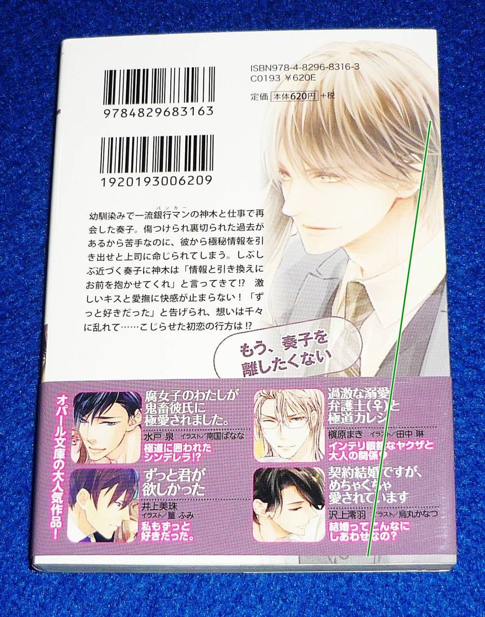  超絶エリートな幼馴染みはケモノな欲望を隠している (オパール文庫) 文庫 ★石田 累 (著)【P04】_画像2