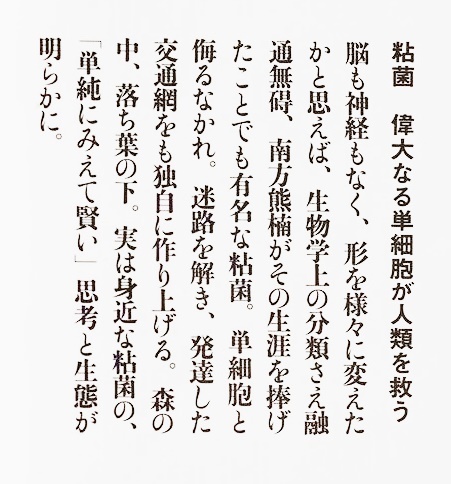 ★送料無料★ダメージあり★ 『粘菌 偉大なる単細胞が人類を救う』 単細胞生物でありながらどこまでも賢い 中垣俊之_画像2