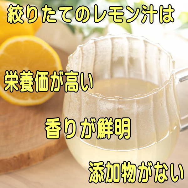 送料無料 陶器 フルーツ 絞り器 ５個 セット 電子レンジ可 食洗機対応 日本製 美濃焼 陶磁器 キッチンツール_画像4