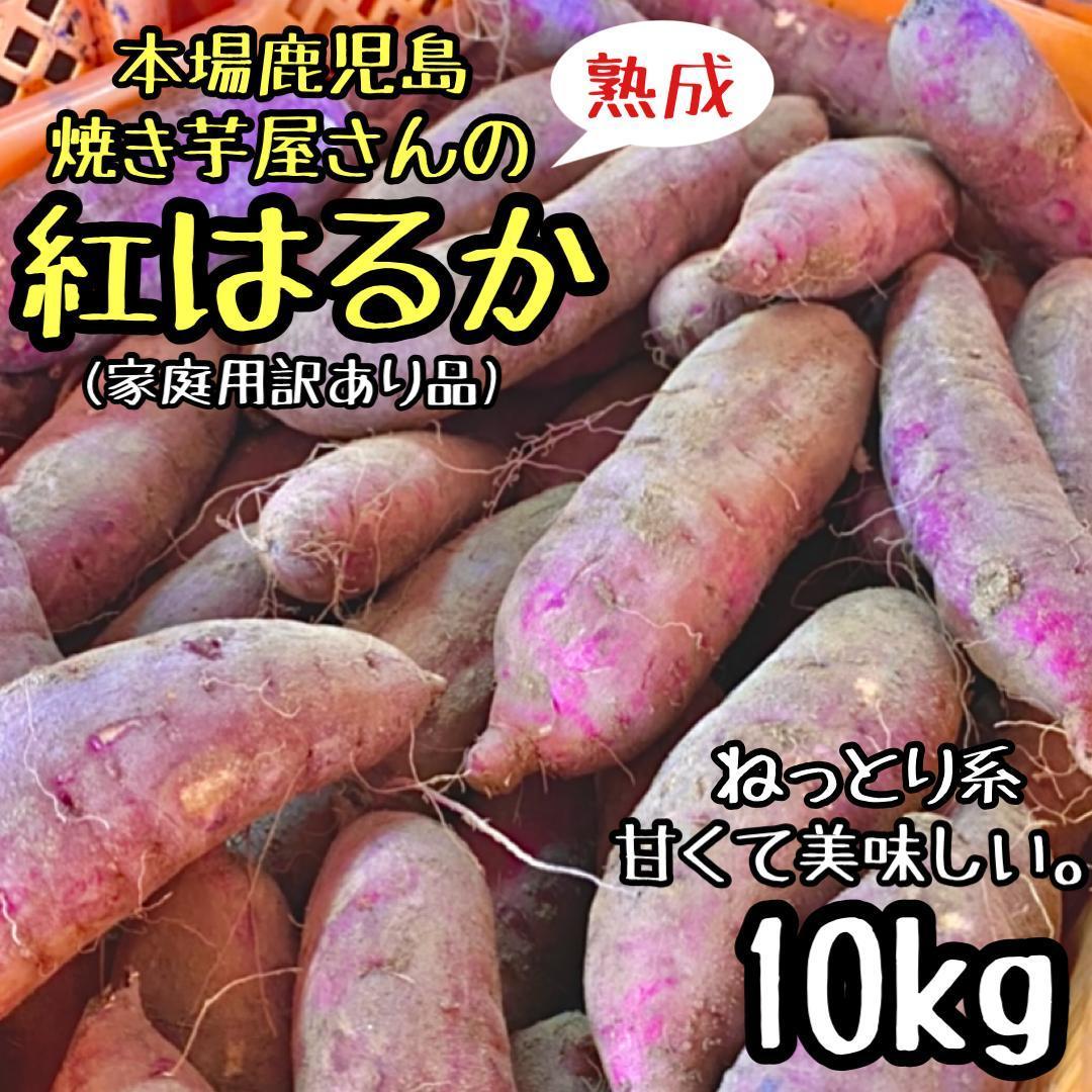 お得!!焼き芋屋さんの熟成芋◎訳あり 紅はるか 10kg さつまいも_画像1