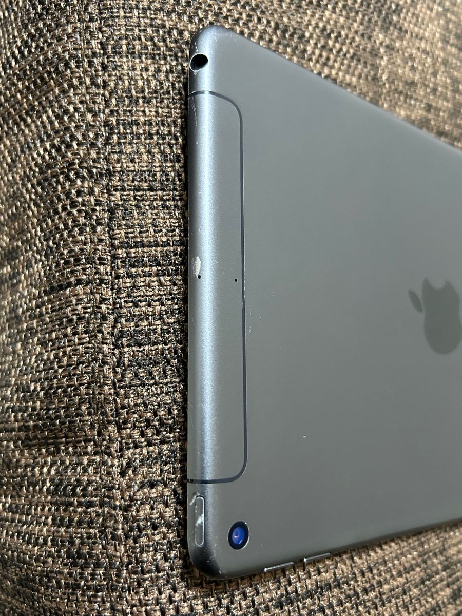 痛み有り　iPad mini5 256GB Wi-Fi+Cellular 5世代