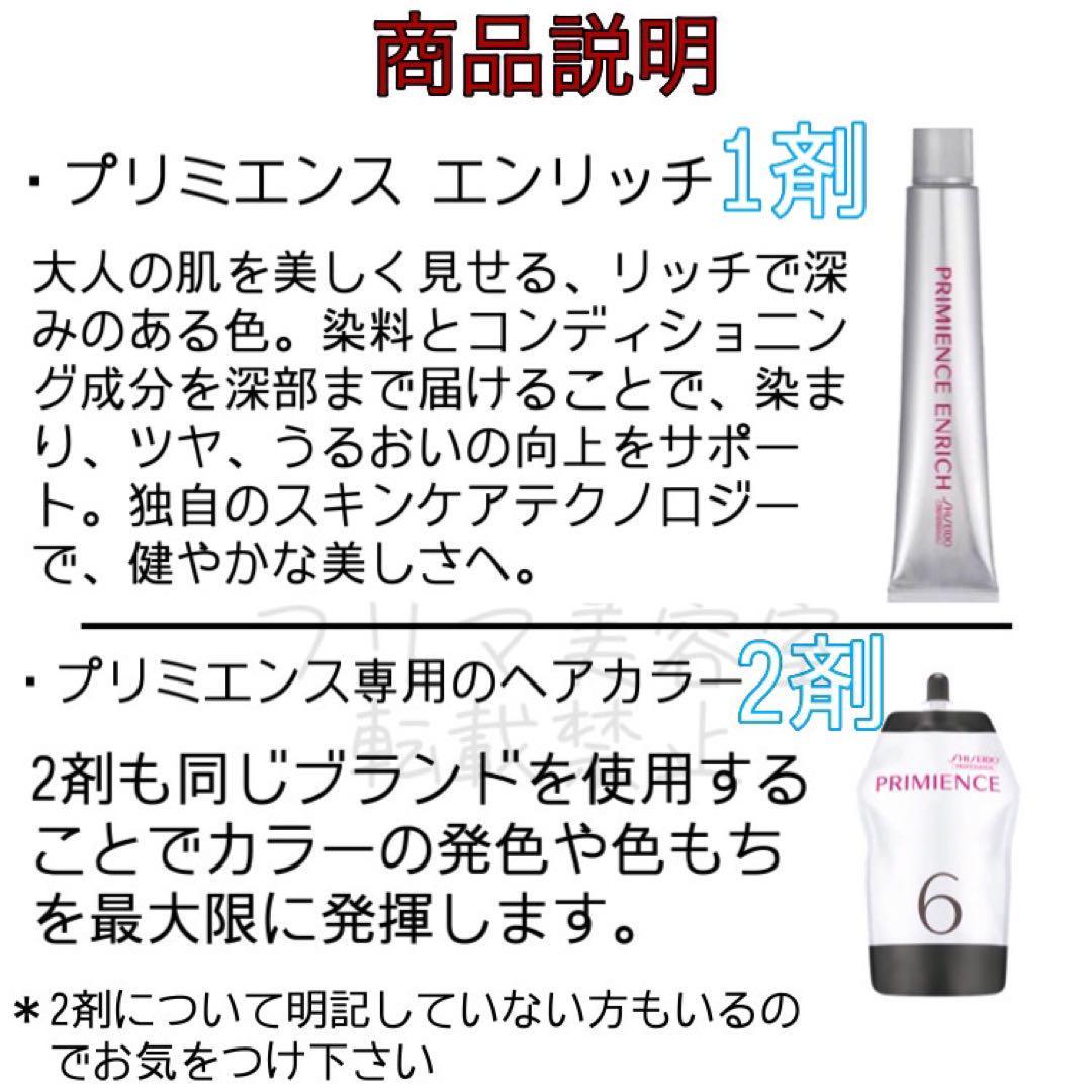 最安値　CB8 資生堂　白髪染め　ロング用　ヘアカラー剤　セット付　セット付　ナチュラル　グレー　ブラウン　グレーカラー　ヘアカラー