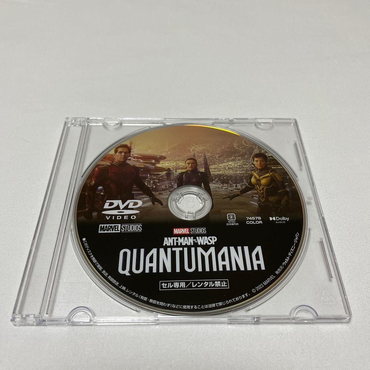 ANT-MAN OF THE WASP QUANTUMANIA アントマン＆ワスプ クアントマニア（DVDのみ）_画像1