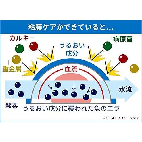 【在庫限り】500ml テトラ (Tetra) メダカの水つくり 500ミリリットル 水質調整剤 アクアリウム 粘膜保護_画像5