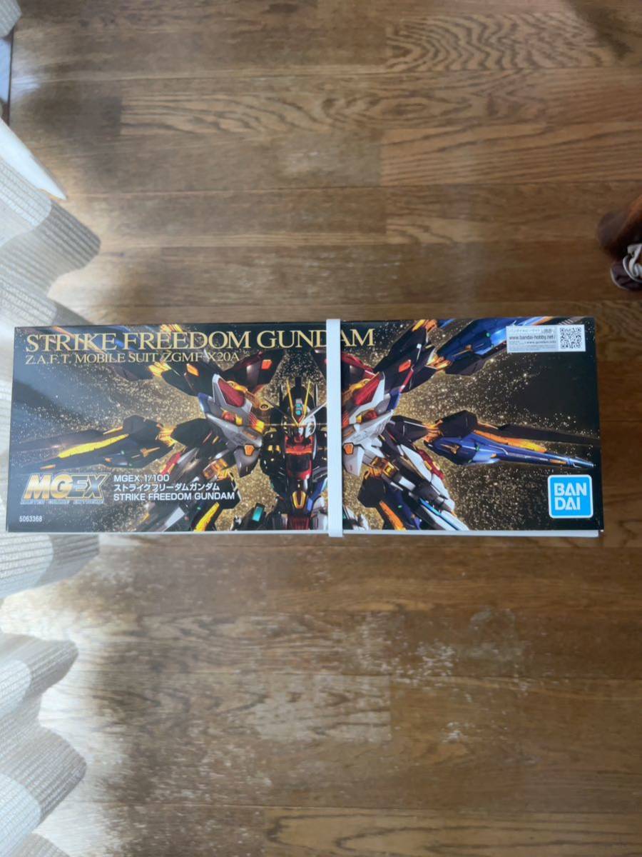 新品 未開封 MGEX STRIKE FREEDOM GUNDAM ストライク フリーダム ガンダム 1/100 BANDAI SPIRITS バンダイ スピリッツ ガンプラ②_画像3