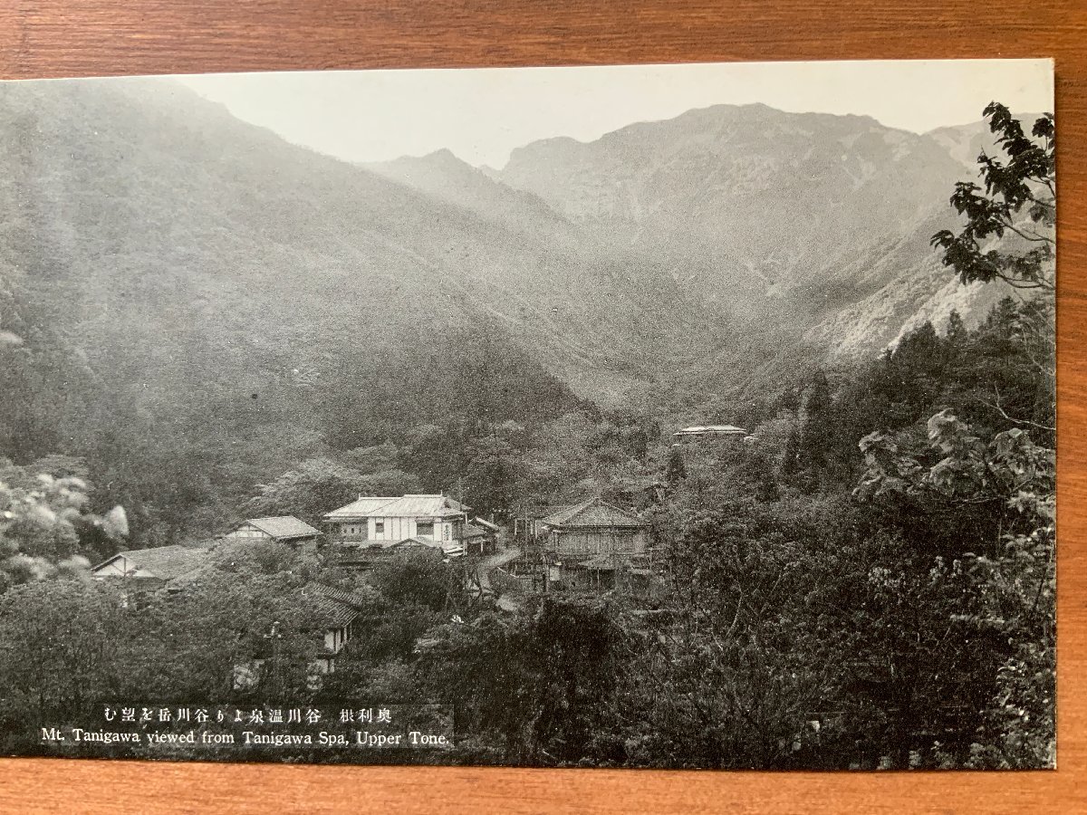 FF-7472 ■送料込■ 群馬県 奥利根 谷川温泉より谷川岳 水上温泉郷 温泉 宿 山 風景 景色 建物 建築物 絵葉書 古葉書 写真 古写真/くNAら_画像1