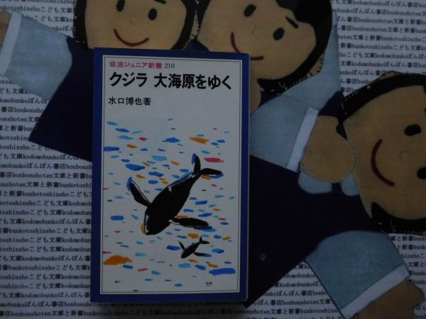 岩波ジュニア新書NO.210 クジラ　大海原をゆく　水口博也　アラスカ　メキシコ　パタゴニア_画像1