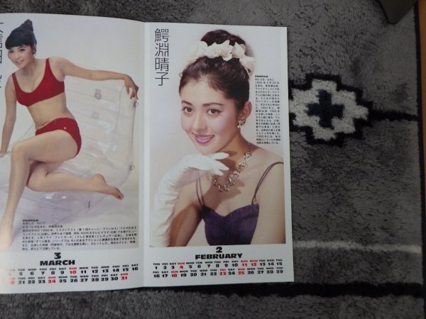  Legend 8 large Star japanese beautiful calendar 2023-2024 large . beauty .* times . Chieko * beautiful empty ... other weekly large . special appendix unused * new goods free shipping 