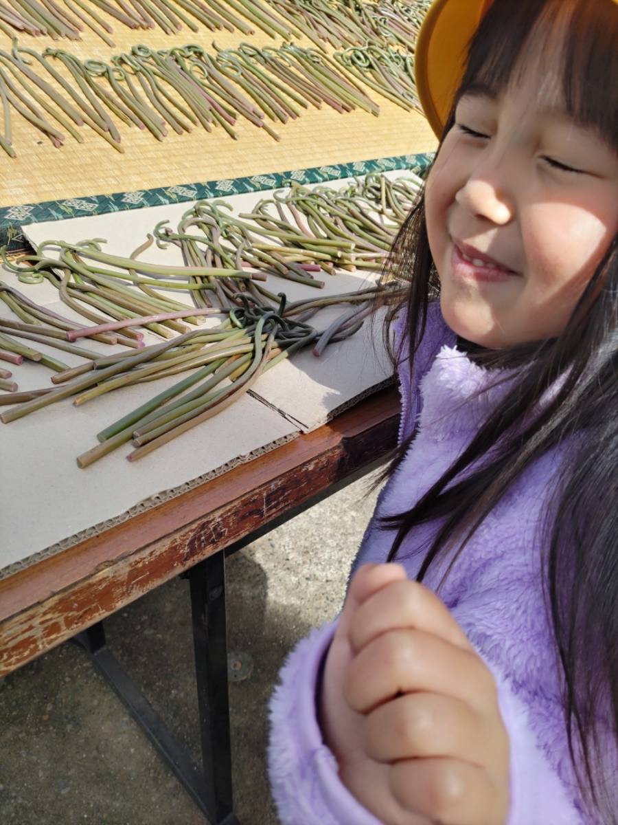 縁起物食材！【送料無料】新潟県産！乾物山菜・2023年4月魚沼産天日干しゼンマイ・手もみ乾燥・100g(自家用細品)冠婚葬祭_1日天日にさらします！