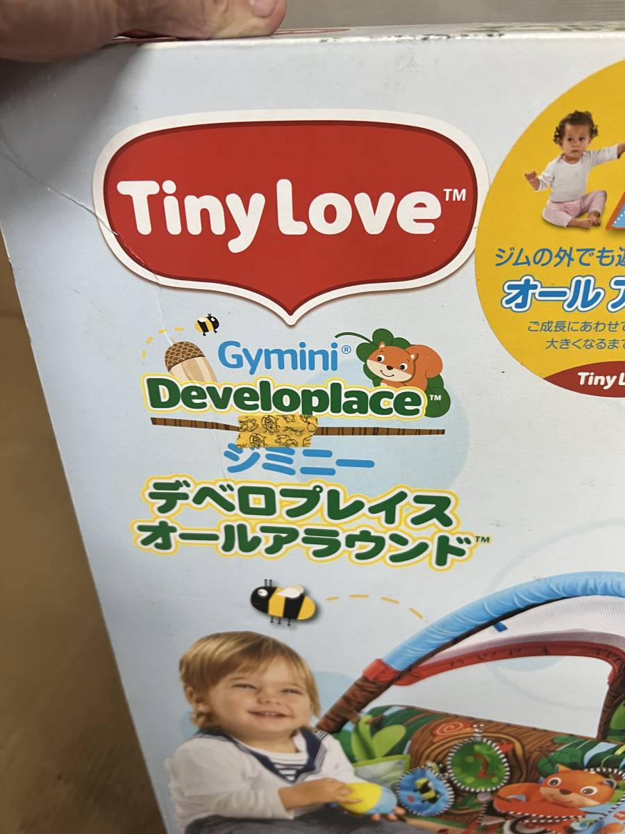 Tiny Love デベロプレイス オールラウンド　ジミニーベビージム、箱あり美品中古品_画像5