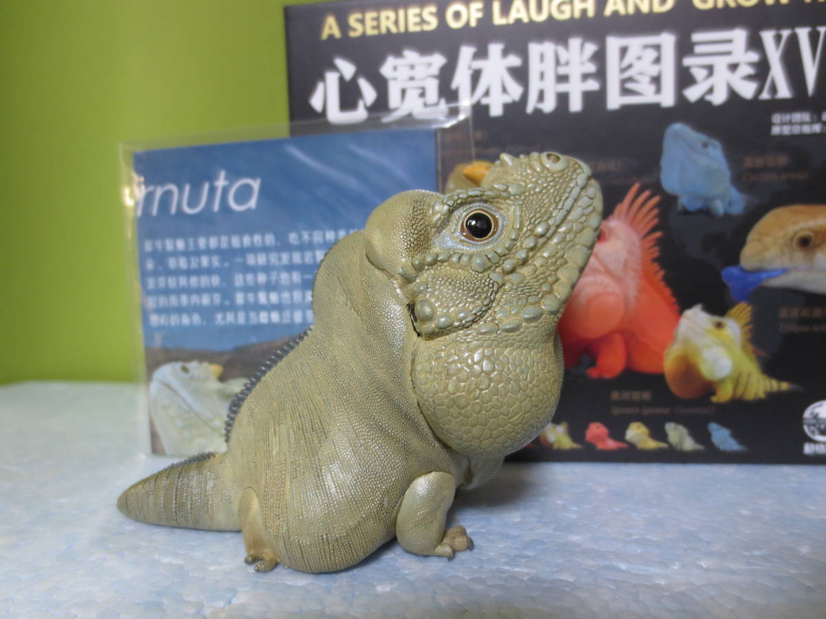  new goods limited goods animal. planet animal planet reptiles real figure rhinoceros iguana regular goods 