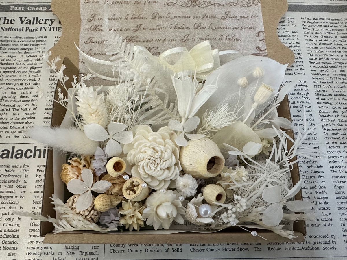 ドライフラワー 花材 白いお花と木の実のボックス
