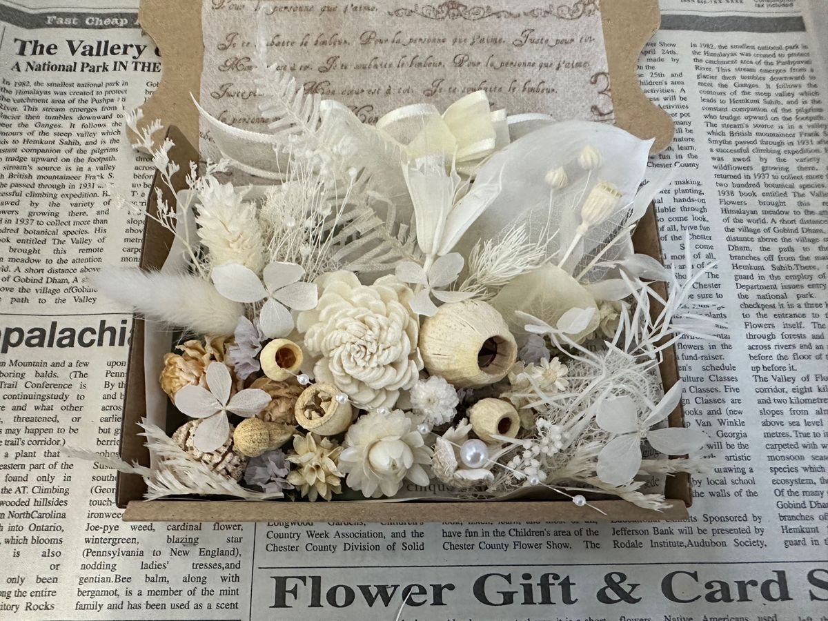 ドライフラワー 花材 白いお花と木の実のボックス