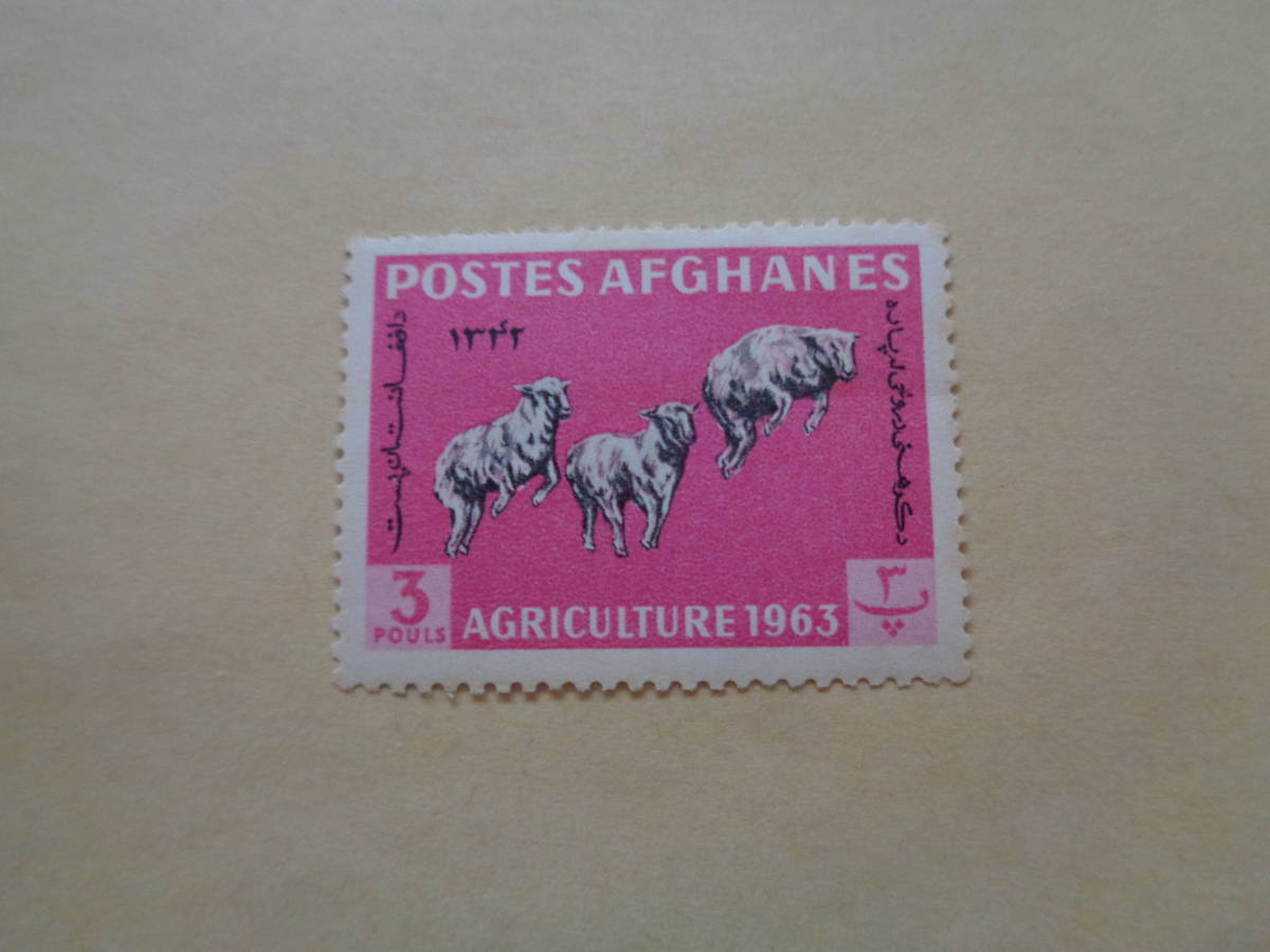 アフガニスタン切手　1963年　 Agriculture Day（農業の日）　Karakul Sheep (Ovis ammon aries)　カラクル羊　　3　_画像1