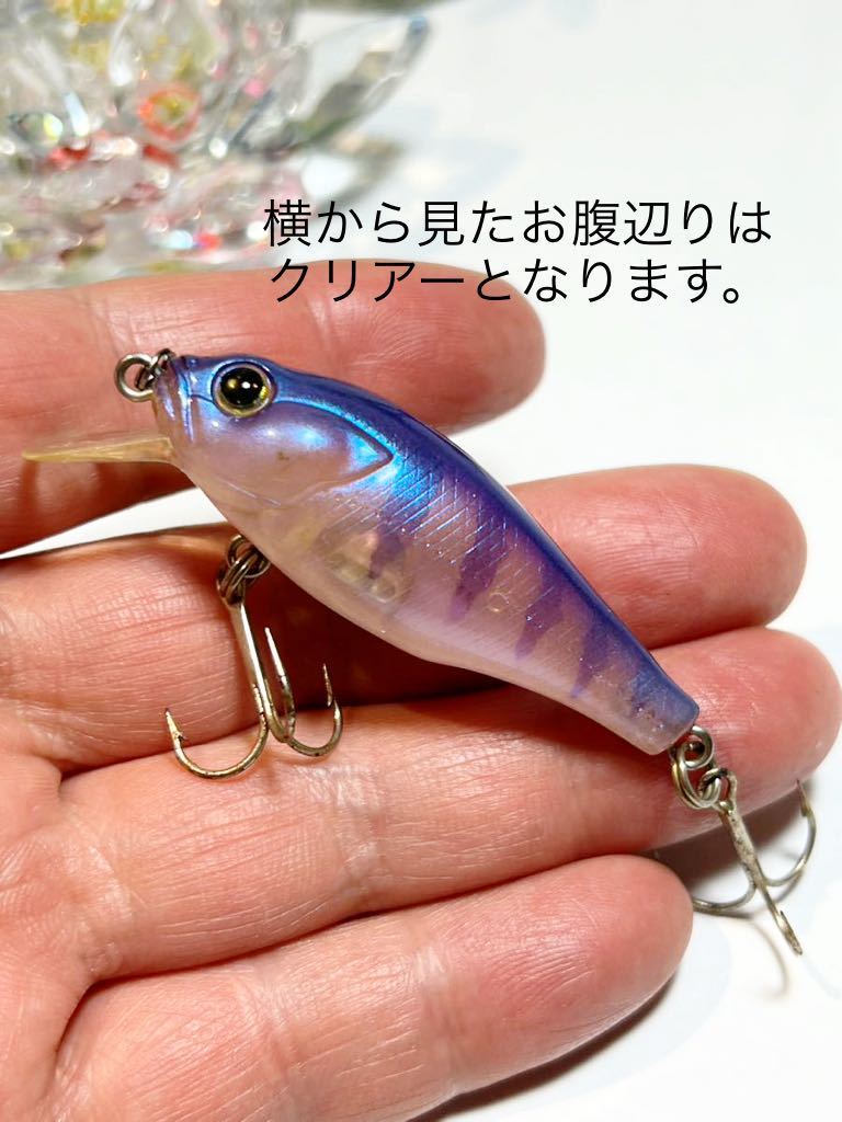 SHIMANO CR-55N WISS シマノ スコーピオン CR-55N スカルピン　SHIMANO Scorpion Sculpin　村田基_画像4