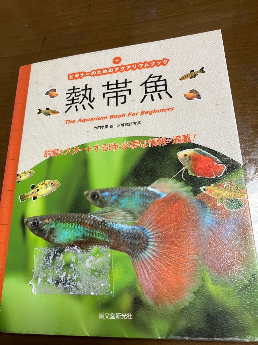 熱帯魚　書籍