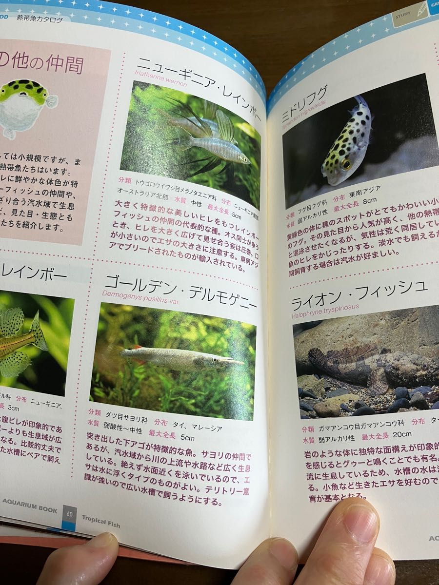 熱帯魚　書籍