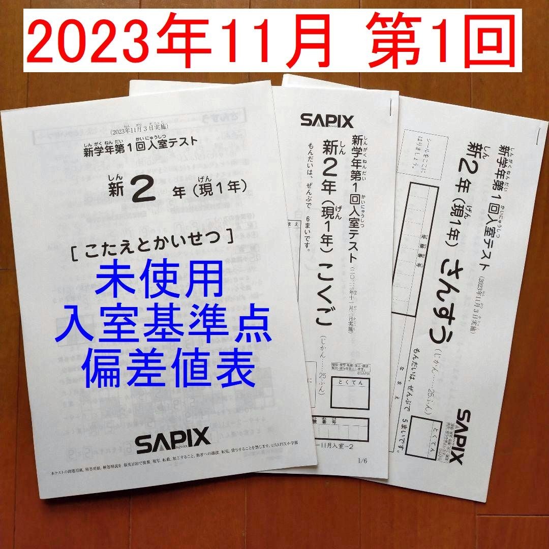 新品 サピックス 新2年生 現1年生 2023年11月 新学年 第1回入室テスト SAPIX 新小2 小1 第一回入室テスト 1月新学年入室組分けテストの練習