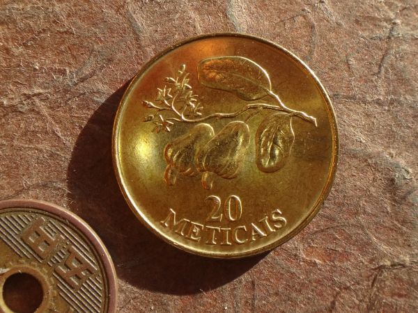 モザンビーク　20Meticais　黄銅張りスチール　1994年　KM#118　(26.0mm, 7.1g)_画像1