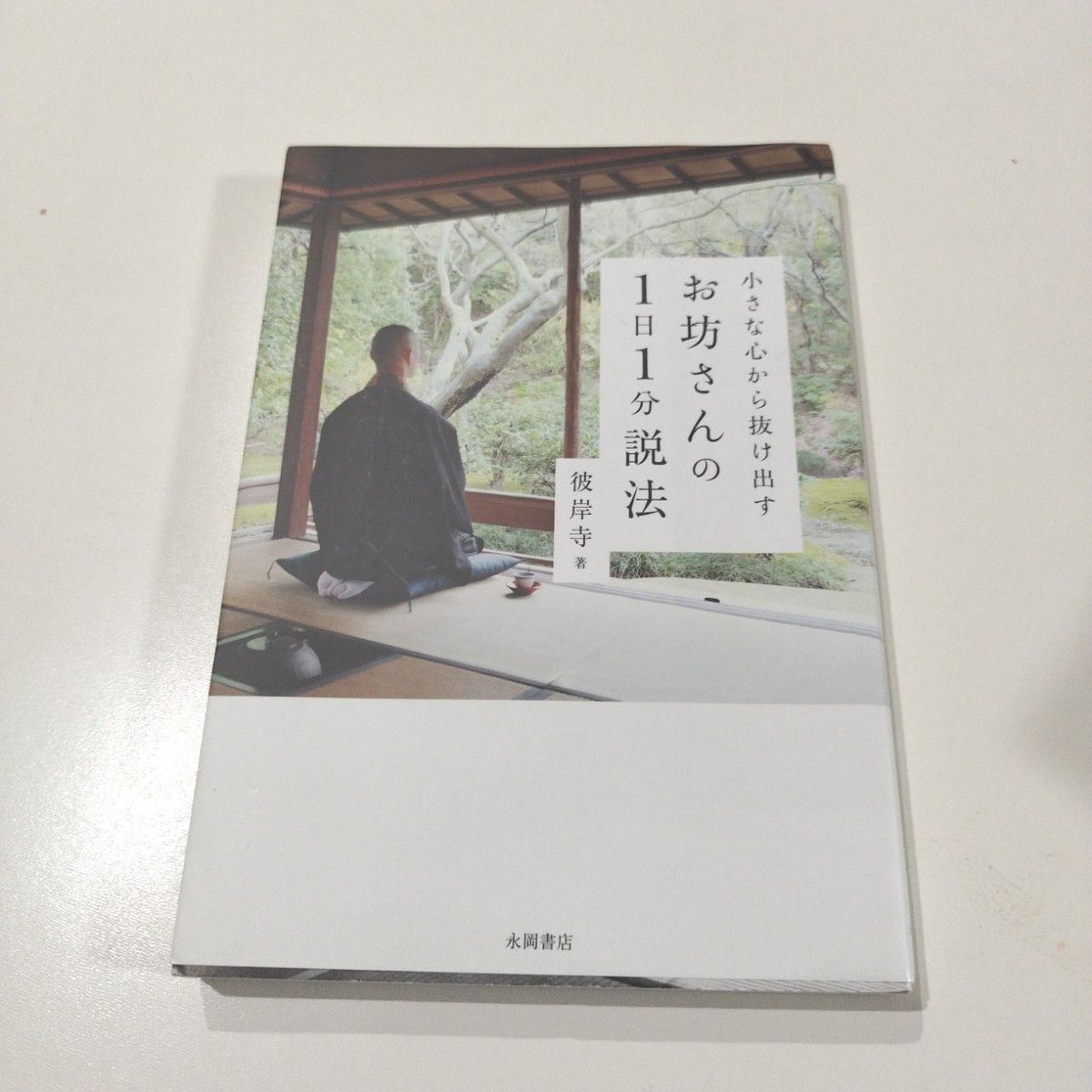 小さな心から抜け出すお坊さんの１日１分説法 （小さな心から抜け出す） 彼岸寺／著