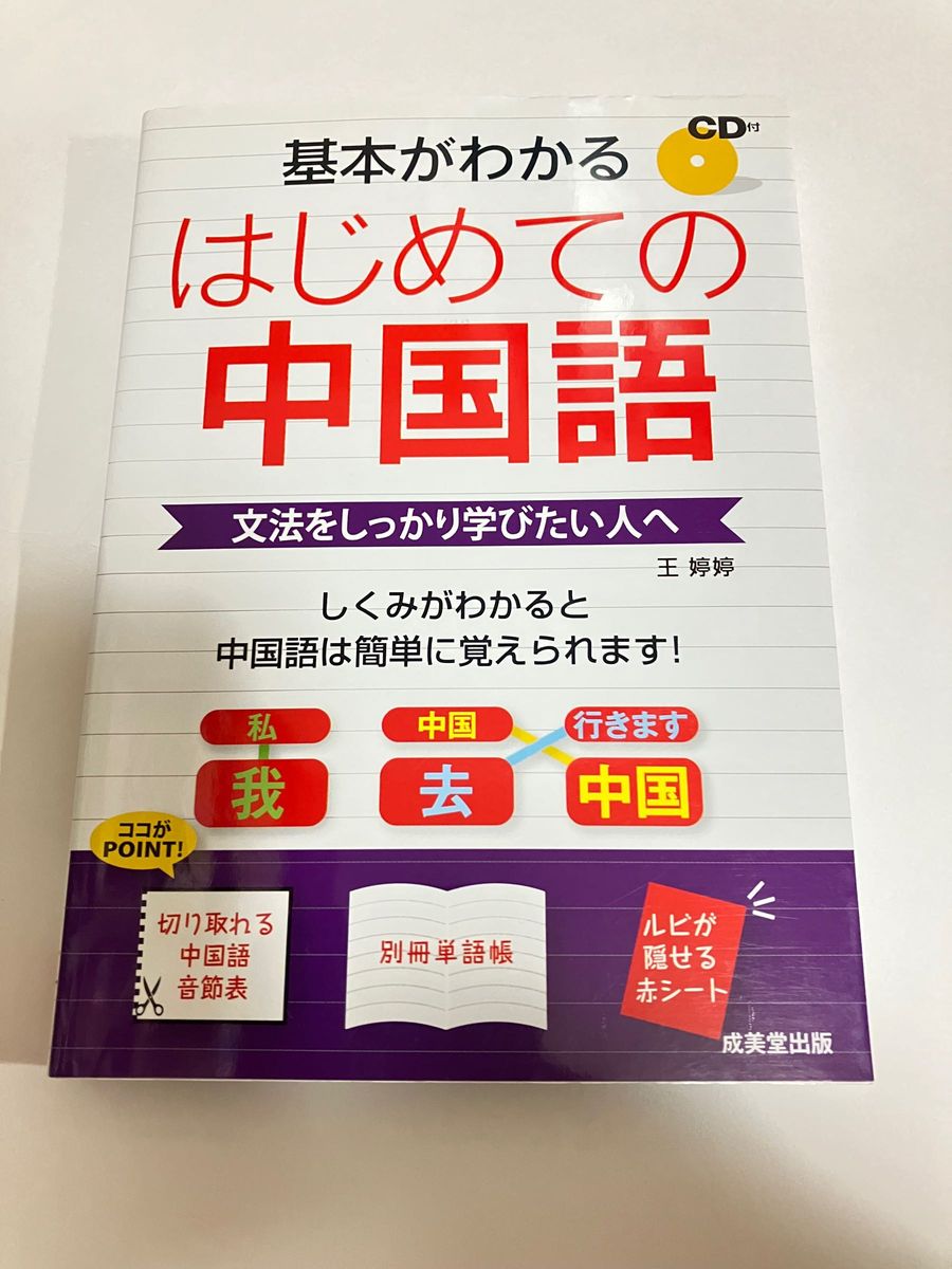 基本がわかるはじめての中国語　文法をしっかり学びたい人へ 王【テイ】【テイ】／著