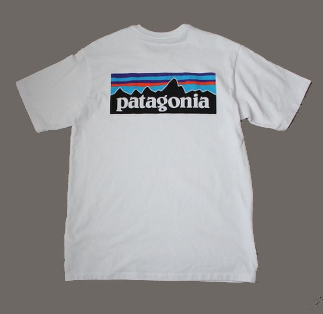 【patagonia】パタゴニア　Tシャツ　バックプリント　白　XS　古着　半袖カットソー　ロゴプリント_画像1